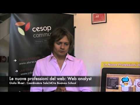 Le nuove professioni del web: Web analyst