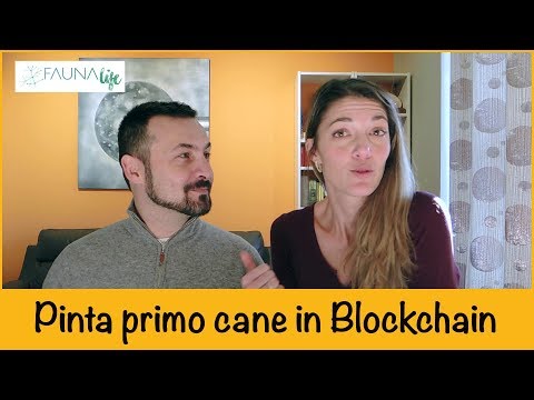 Pinta è il PRIMO CANE al mondo in BLOCKCHAIN! | Qua la Zampa