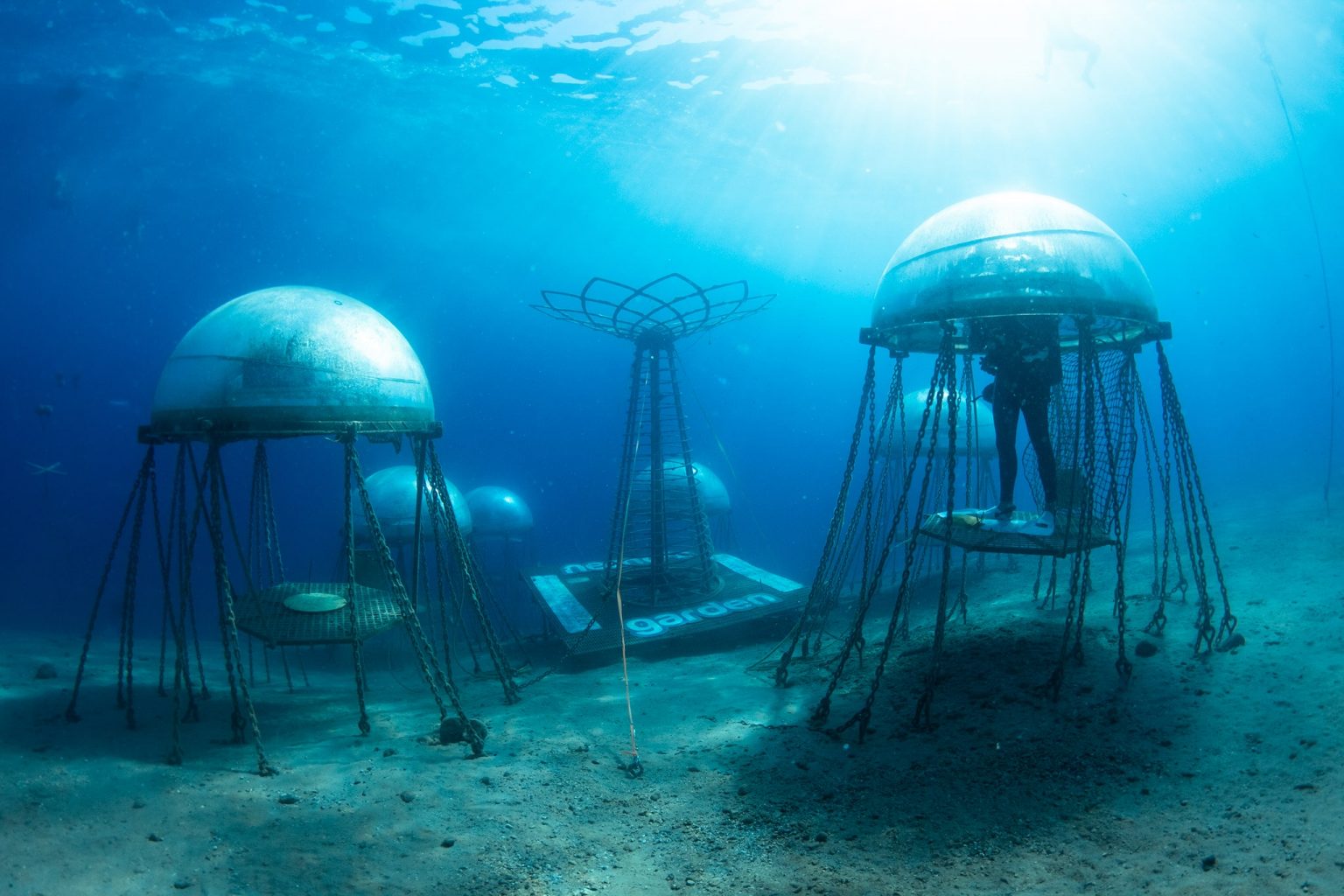 Le biosfere di Nemo's Garden sono un tipo unico di serra sottomarina, in grado di sfruttare i fattori ambientali positivi dell'oceano per creare un ambiente ideale per la coltivazione delle colture. Foto: OceanReefGroup