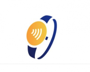 Visa logo wearable