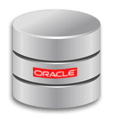 oracle data base aziendali